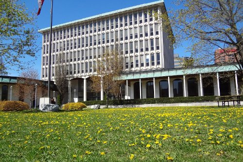 Gone to seed: Dandelions adorn the lawn of the doomed Board of Education building (RTH file photo)
