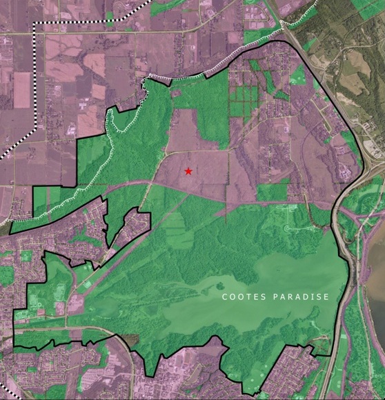 Dundas EcoPark, bordered in black. Green areas are already publicly owned. Pink areas are privately owned. (Image Credit: Dundas EcoPark)