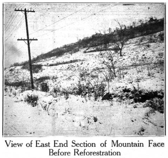 Niagara Escarpment, Hamilton in 1930 before reforestation (Image Credit: Hamilton Free Press)