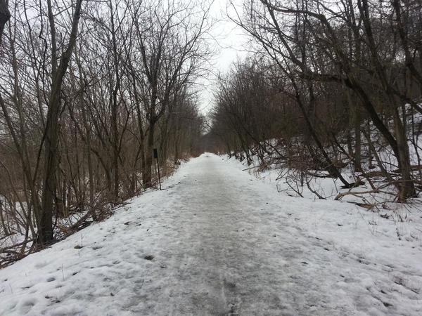 Escarpment Trail in winter