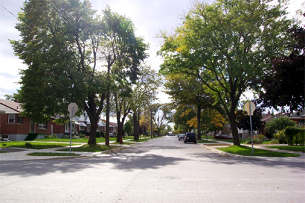 East 43rd Street in
Hamilton. A suburb built on a grid of streets, circa 1950s.