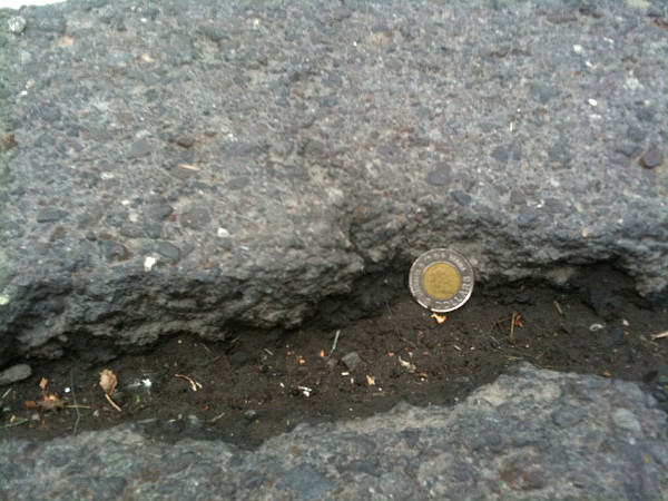 Crack on Cannon Cycle Track east of Adam (toonie for scale)