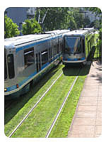 Suburban streetcar lines planted with grass.