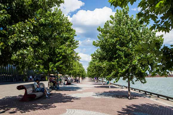Tree-lined waterfront promenade (Image Credit: Yonge Street Media)