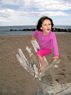 Molly on Hamilton Beach.