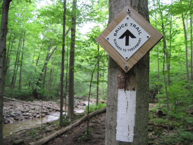 Bruce Trail sign and blaze (Image Credit: Bruce Trail Conservancy)