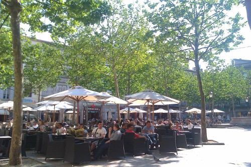 Umbrellas and tree canopies shade the patrons