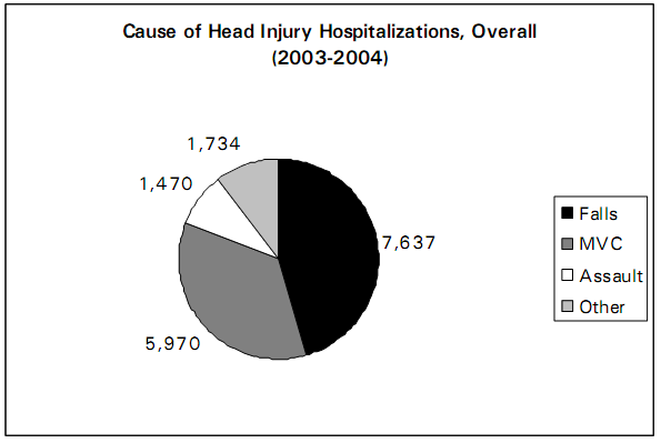 Cause of Head Injury Hospitalizations, 2003-2004