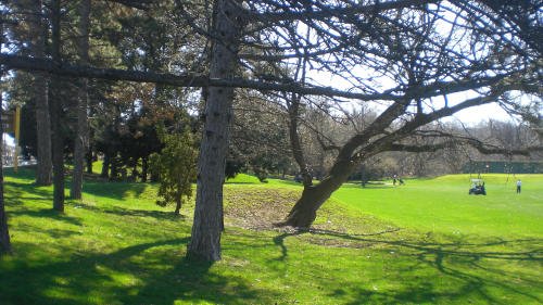 Chedoke Golf course near the proposed bike path, Aberdeen Ave. is on the left.