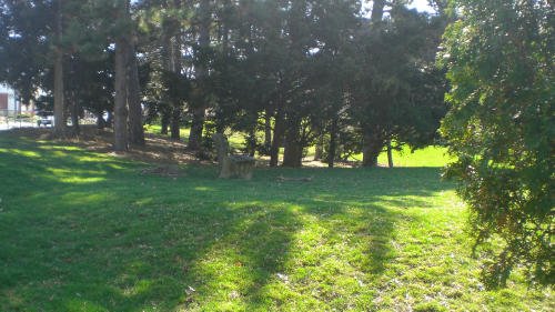 A great place to sit and gaze at the fence?