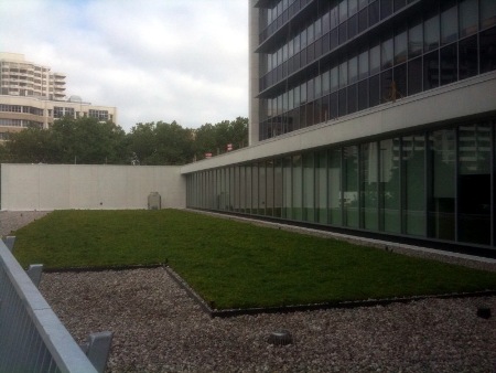 A new 'green roof' at City Hall