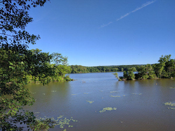 Cootes Paradise (RTH file photo)