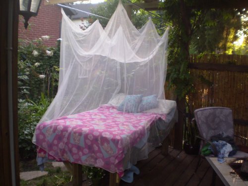 A princess canopy