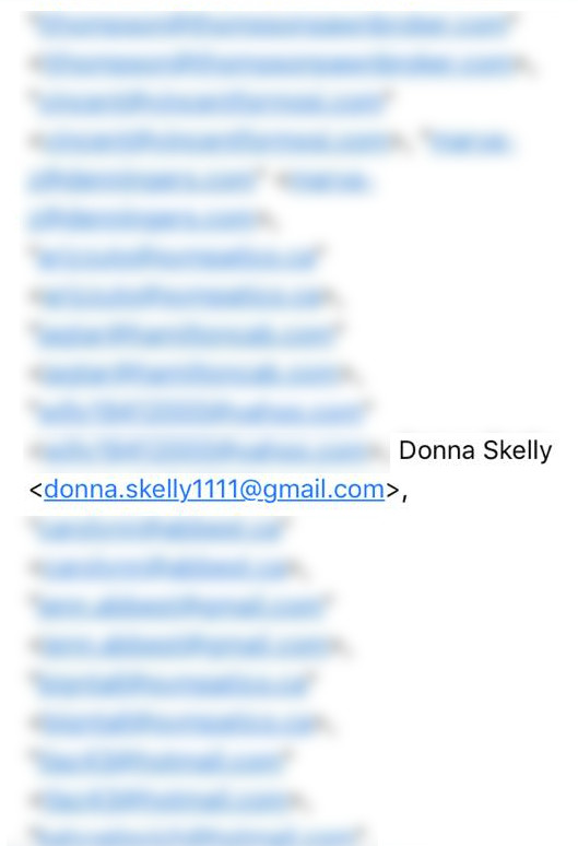 Donna Skelly private email address in email from Carol Lazich