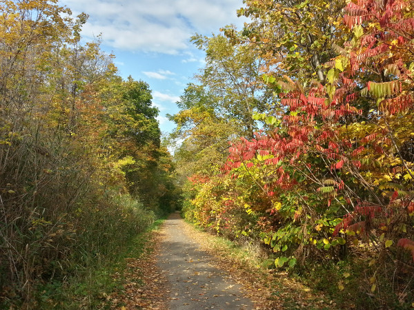 Escarpment Trail