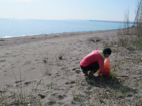 Perfect weather made cleaning up others' messes easy.