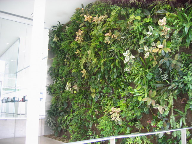 The living wall at the Hamilton Public Library Central branch