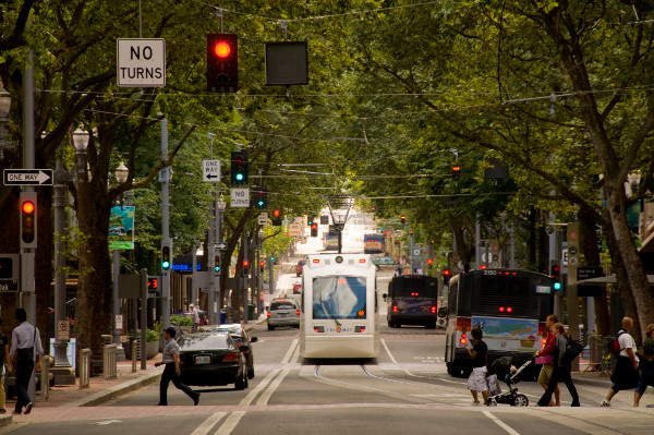Street trees in Portland (Image Credit: American Society of Landscape Architects)