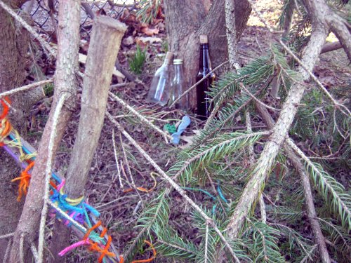 Litter in the woods