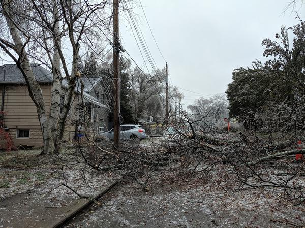 Hamilton ice storm (Image Credit: Isabella Lopes/RSJ)