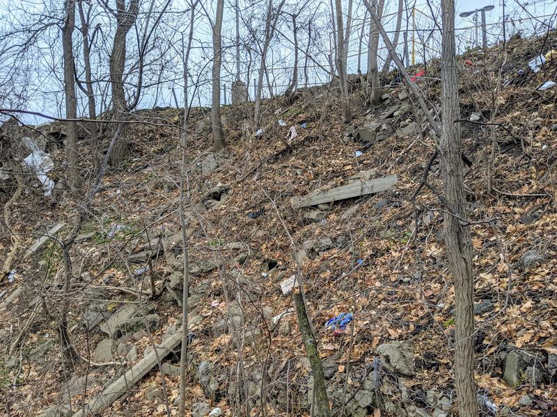 Closeup of slope behind Main and Longwood (RTH file photo)