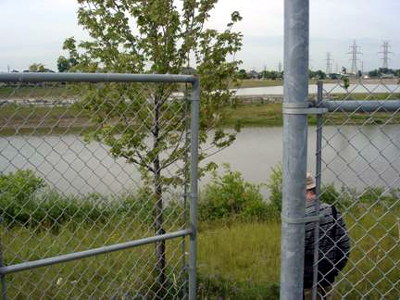 Fence separating the wetlands from the Wal-Mart