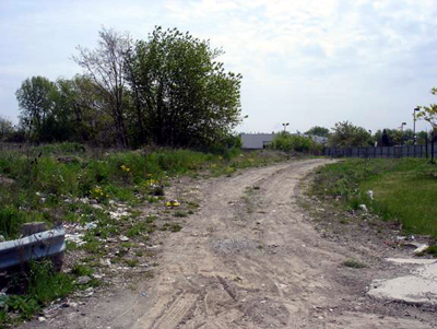 An intriguing dirt road through the field