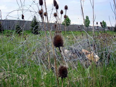 This jumble of wire might have been a trap to catch trespassers