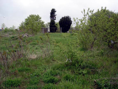 A fenced, landscaped square sits on the rise ahead