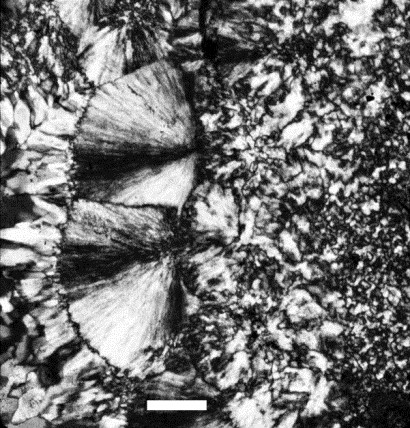 Figure 3: A micrograph of chert, showing both microcrystalline and fibrous textures. Mineralogically both are varieties of quartz, but the fibrous variety is commonly called chalcedony. Scale bar is 0.1 mm. Photo by L. Paul Knauth.