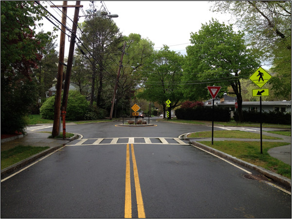 Mini-roundabout (Image Credit: NACTA)