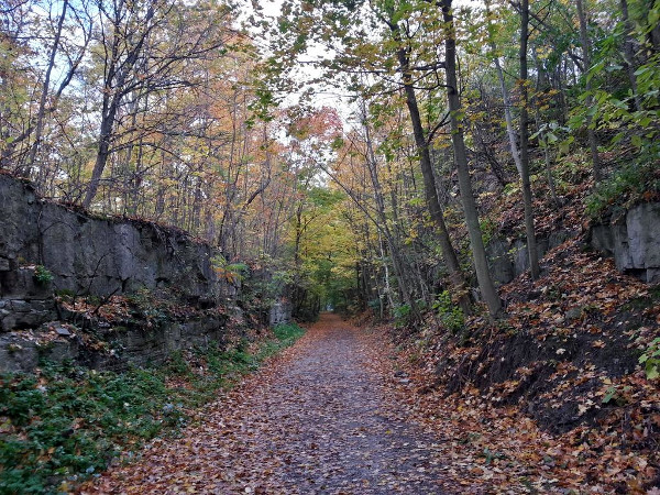 Radial Trail