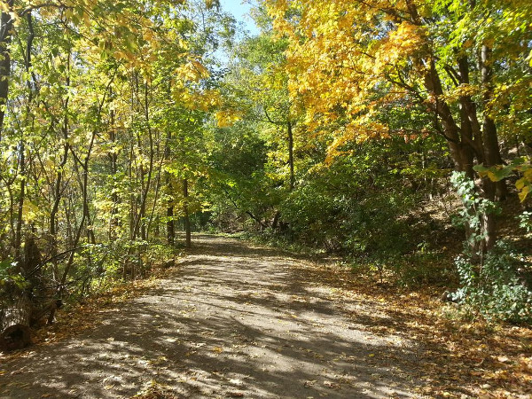 Red Hill Valley Trail