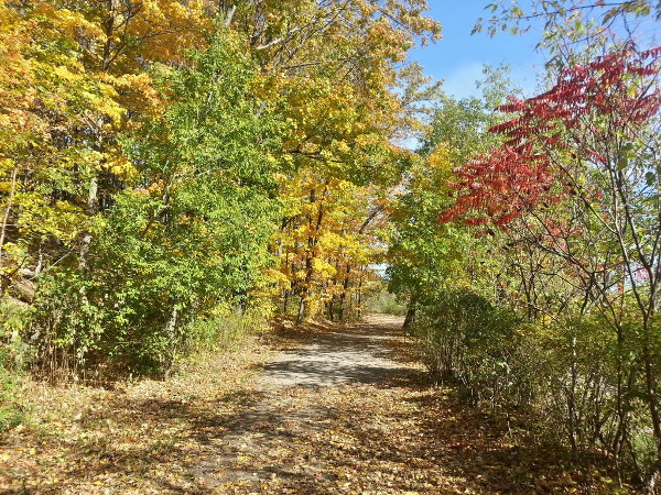 Red Hill Valley Trail