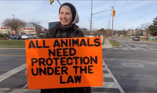 Regan protested outside Fearmans Pork slaughterhouse in Burlington every Sunday.