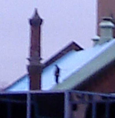A lone figure on the roof