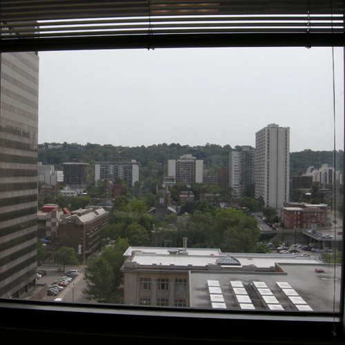 Looking south from the Landlord and Tenant Board hearing rooms in the Fairclough Building.