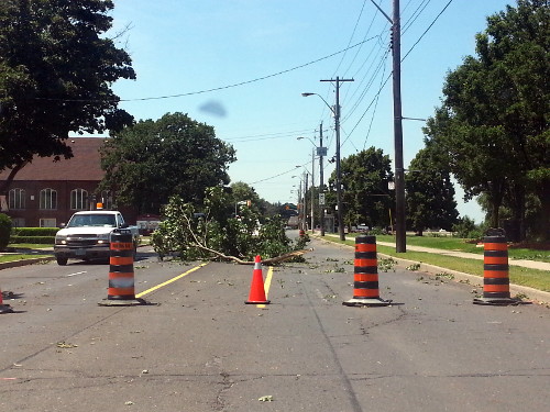 The Mountain was mostly spared the high winds, but a big branch blocked Concession just east of Upper Wellington.