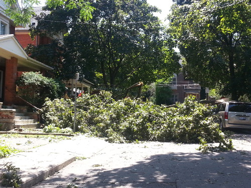 Mapleside was blocked by a fallen tree.
