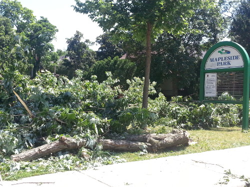 Branches down at Mapleside Park.