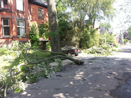 Southwest Hamilton was one of the areas to take the brunt of the high winds.