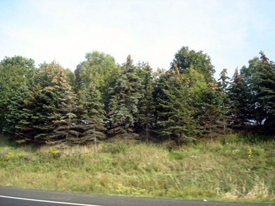 Hwy 401 approaching Pearson International Airport