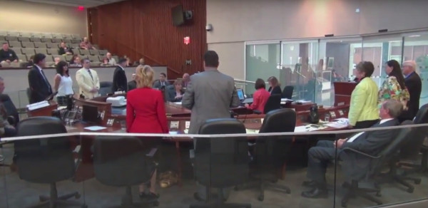 Standing recorded vote to defer Councillor Merulla's LRT motion (Image Credit: screen capture from TPR video)