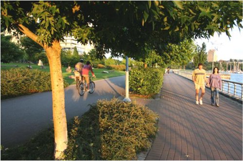 Peaceful coexistence of cyclists and pedestrians.