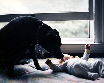 Wendel sniffing the Big E when she first came home