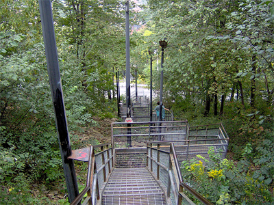 The Wentworth steps provide easy access to lower east downtown, in an oasis of old-growth Carolinian forest