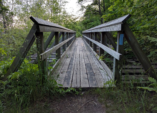 Wooden Bridge near Sydenham Falls