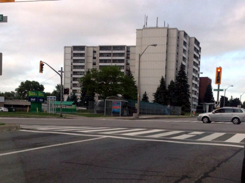 Zebra crossing at Upper Gage and Mohawk (Image Credit: danielacts1 on twitter)